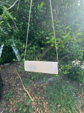 Badgley Mischka Neutral beige Evening Clutch with strap